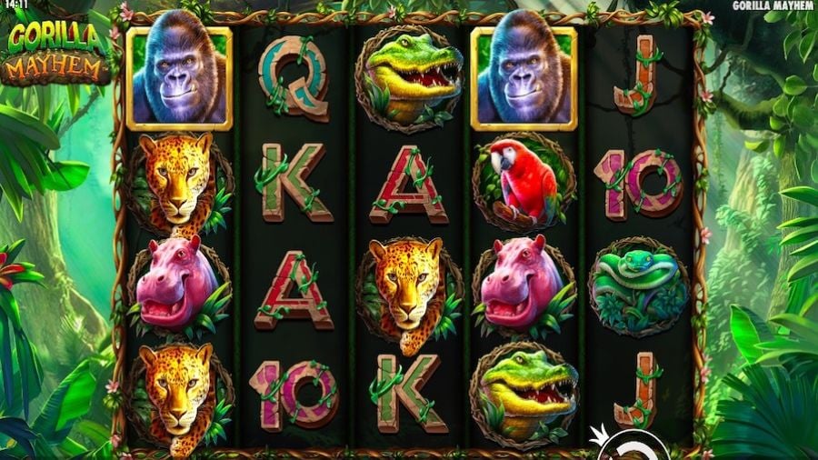 Gorilla Mayhem Slot En - bwin