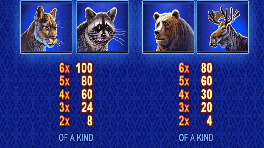 Buffalo Blitz Megaways Feature Symbols En - bwin