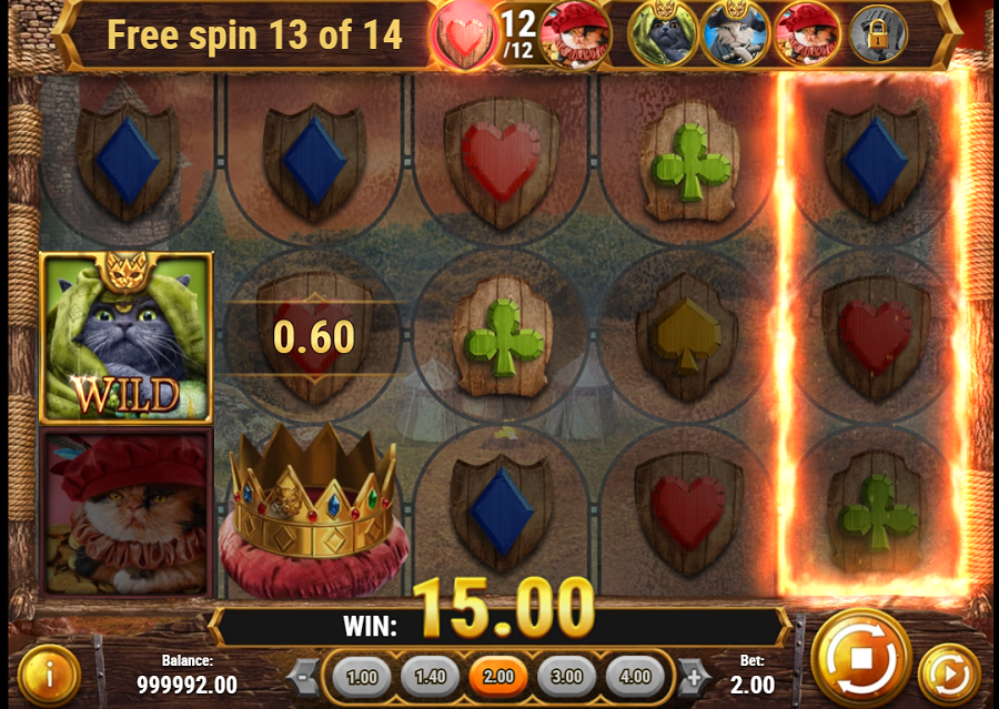 Feline Fury Bonus - bwin