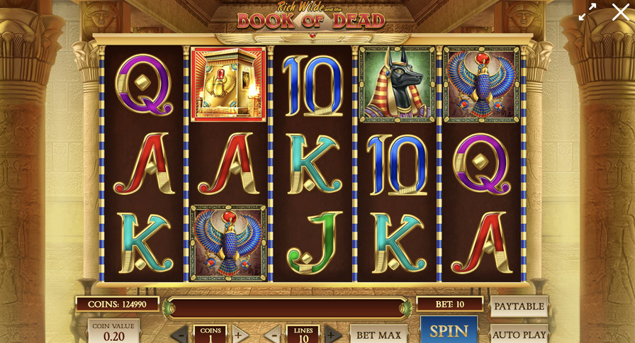 Book Of Dead Slot - bwin