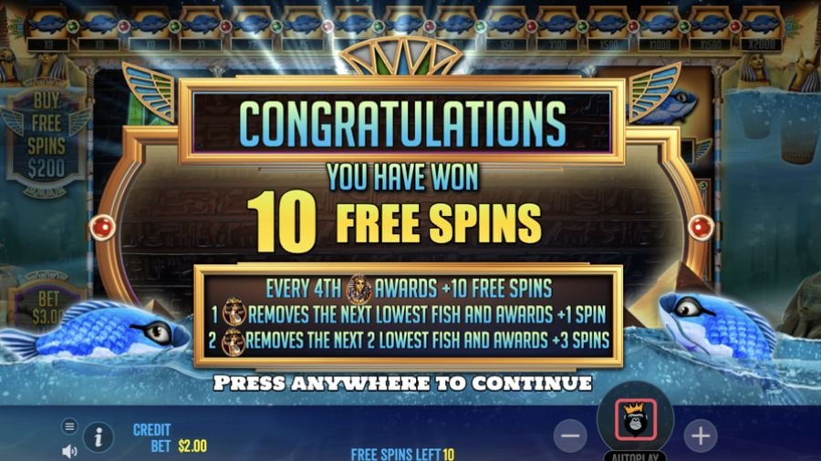 Fish Eye Bonus Eng - bwin