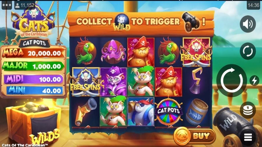Cats Of The Caribbean Slot En - bwin