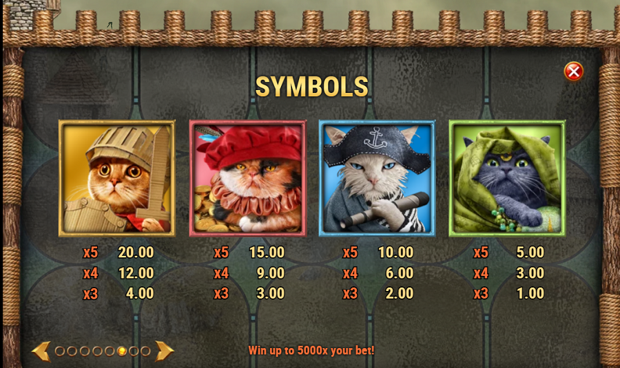 Feline Fury Feature Symbols - bwin
