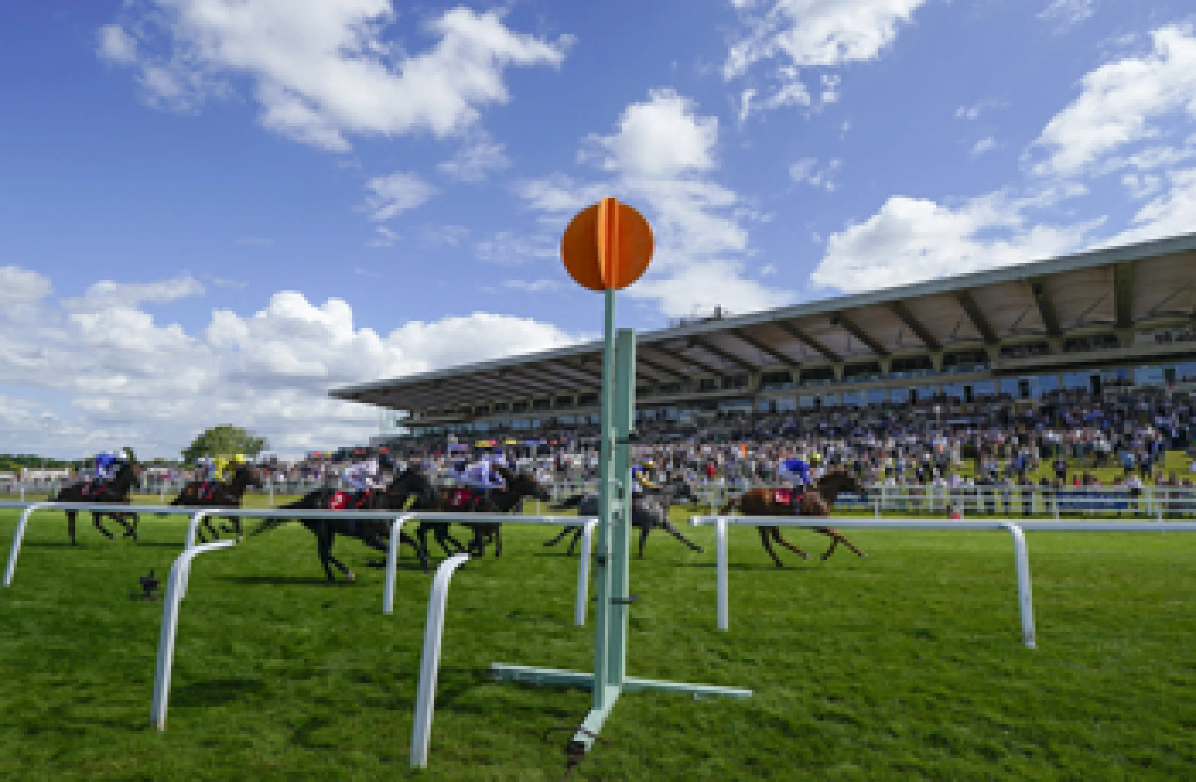 horse racing fixtures
