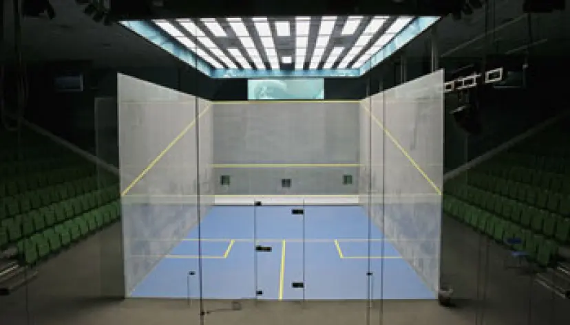 New Olympic sports; Olympic Games
