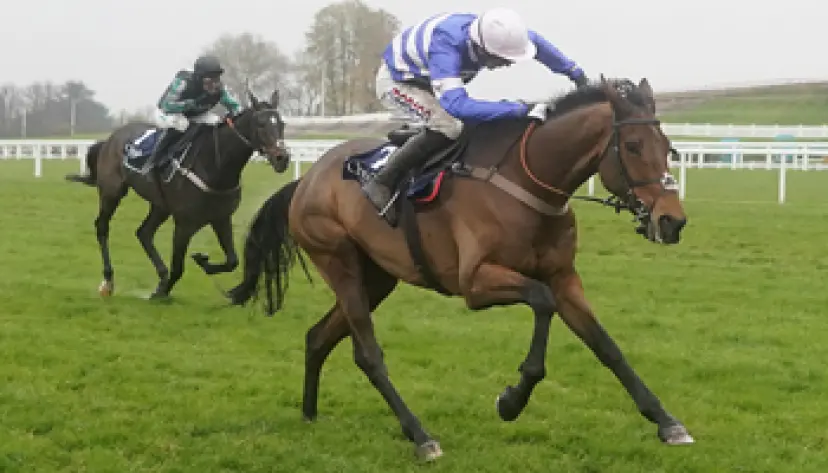 Boxing Day racing tips, horse racing