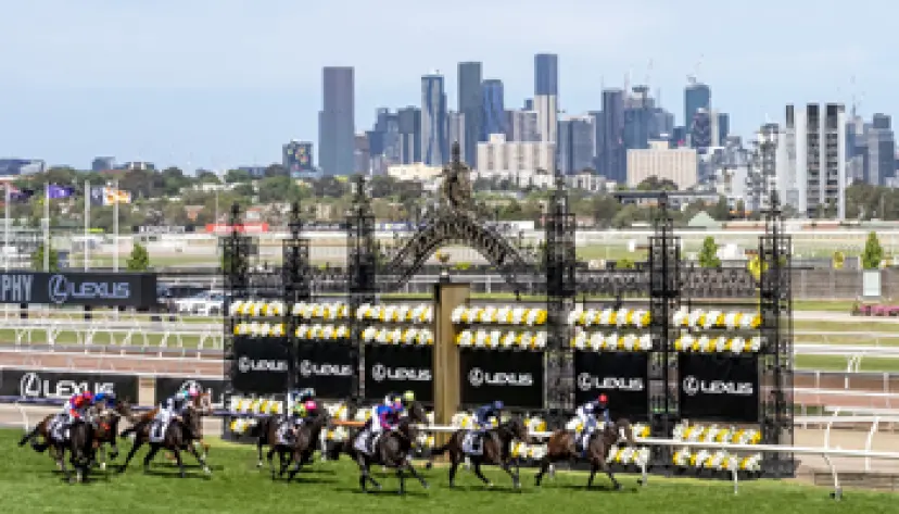Melbourne Cup, horse racing