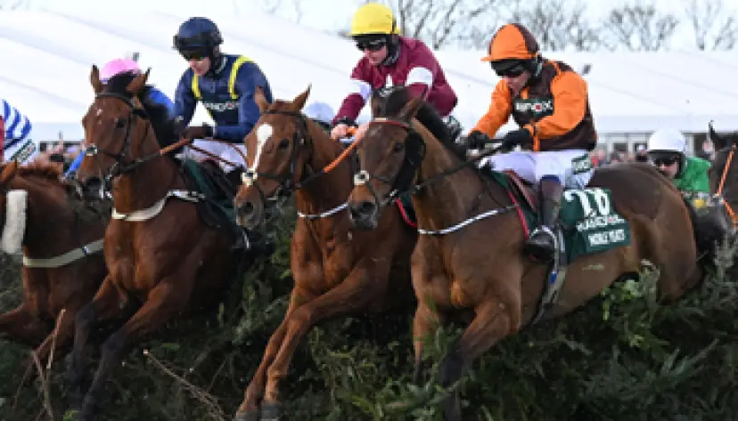 Grand National runners, horse racing, Grand National pinstickers guide