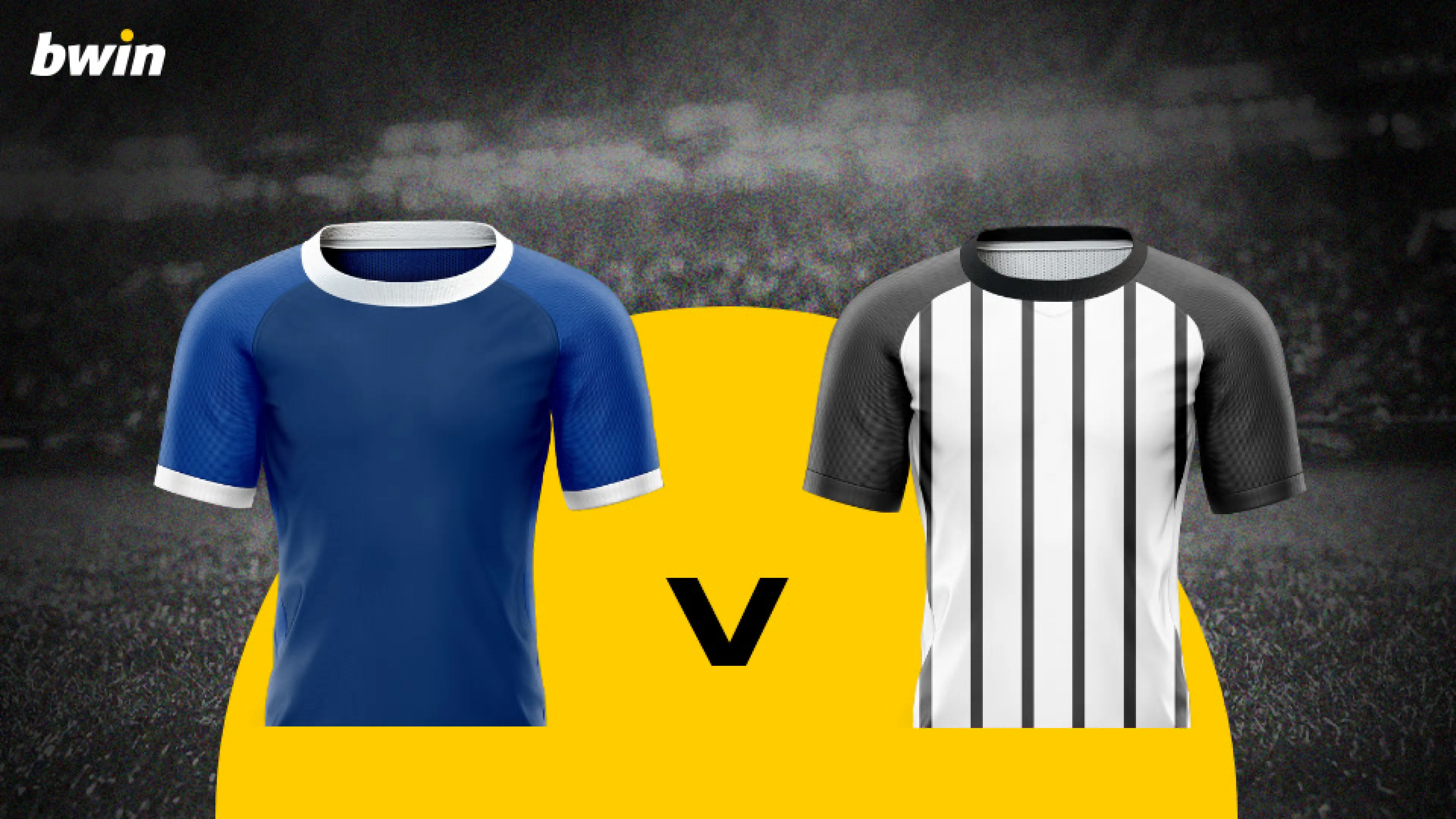 Hoffenheim vs Hamburger SV