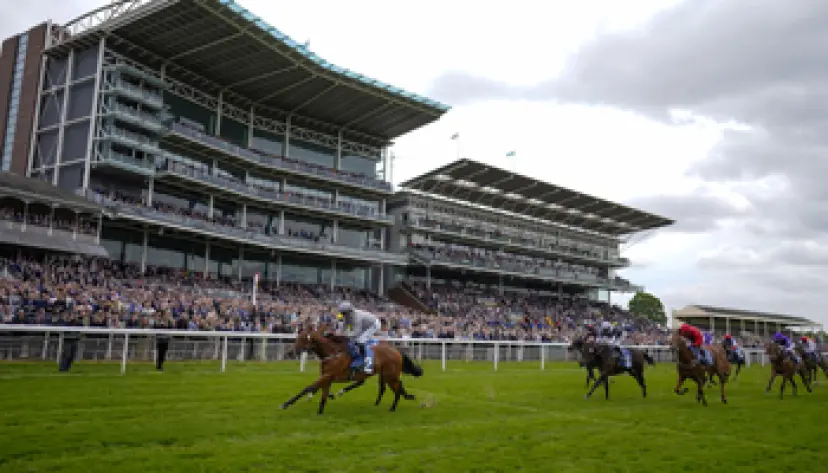 York Races tips, York Ebor Festival, horse racing