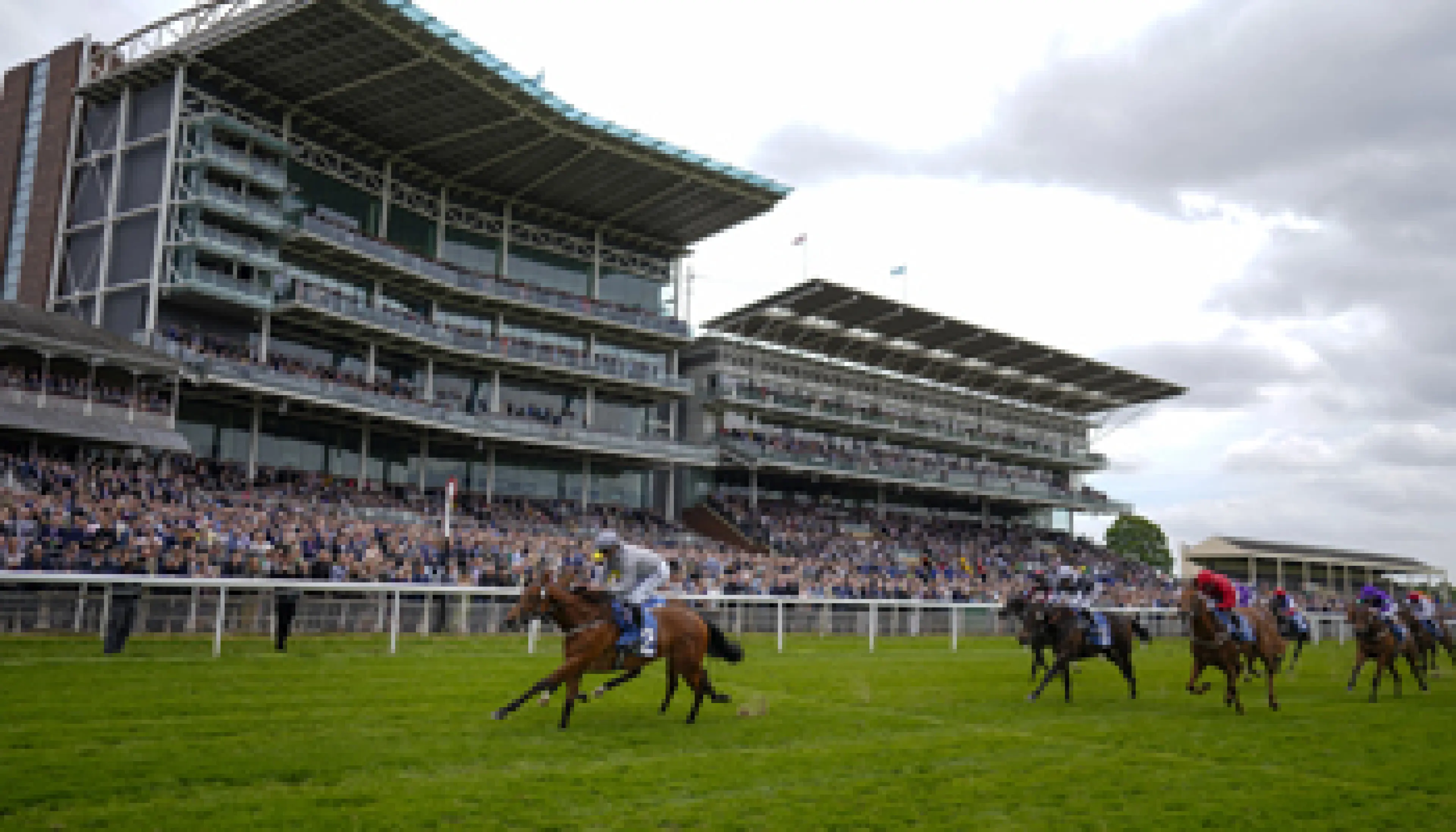 York Races tips, York Ebor Festival, horse racing