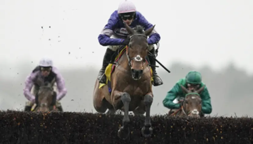 King George VI Chase 2020, horse racing, Kempton