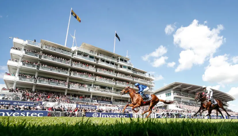 2023 Epsom Derby runners, horse racing