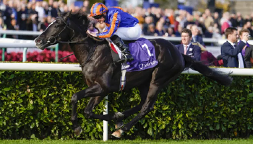 ITV racing tips, horse racing, Epsom