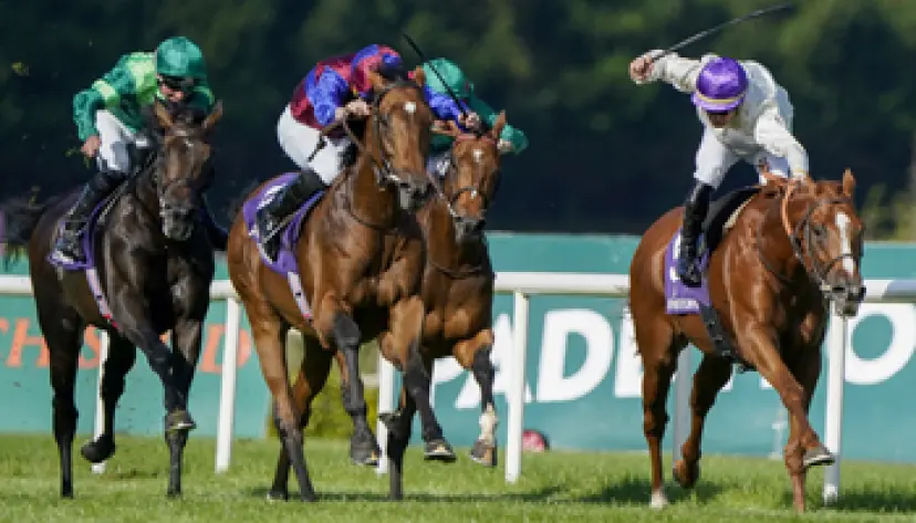 Prix de l’Arc de Triomphe tips, horse racing