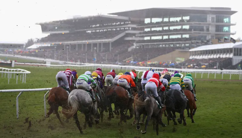 Cheltenham Festival tips, Cheltenham Day 4 tips, Cheltenham Friday tips