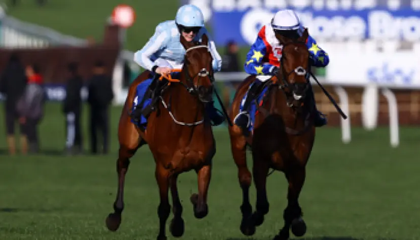 Punchestown Festival tips, horse racing