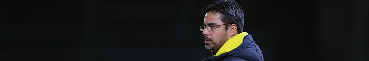 Huddersfield boss David Wagner