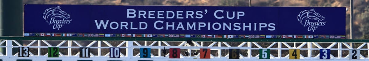 Breeders' Cup tips, horse racing