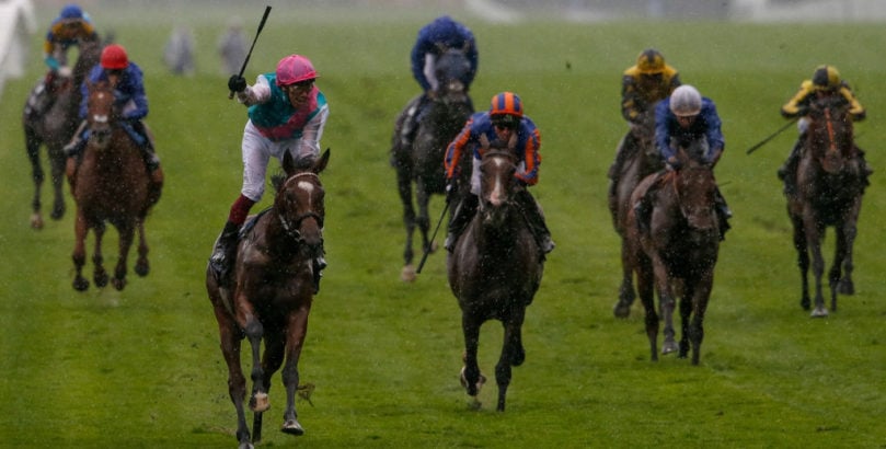 Ascot Races Enable features in the Prix de l'Arc de Triomphe 2019 runners