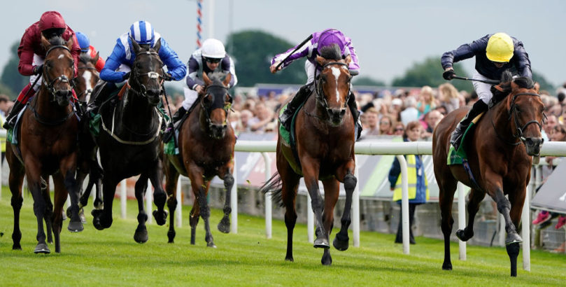 York Races Japan features in the Prix de l'Arc de Triomphe 2019 runners