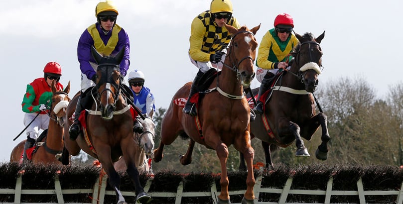 Punchestown Races