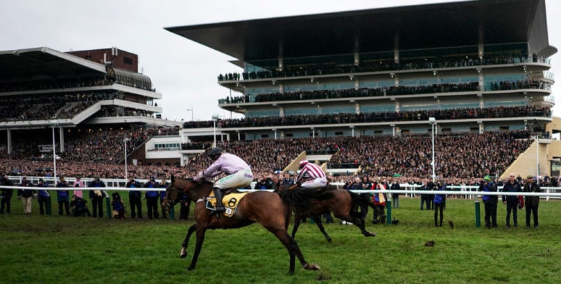 Cheltenham Festival - Gold Cup Day Pentland Hills features in our Cheltenham Festival tips