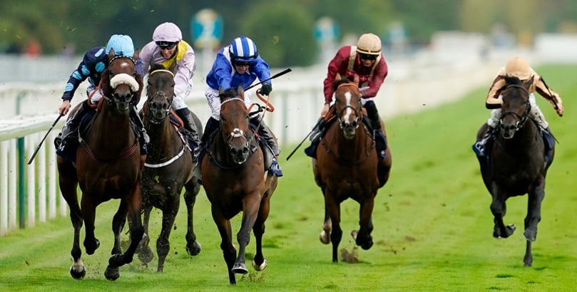 York Races Irish Champions Weekend tips, horse racing