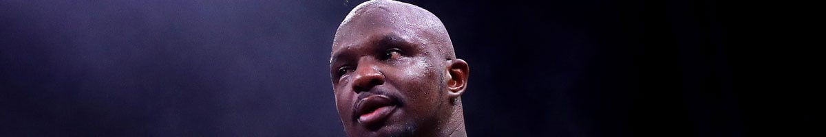 Whyte vs Wallin prediction, boxing