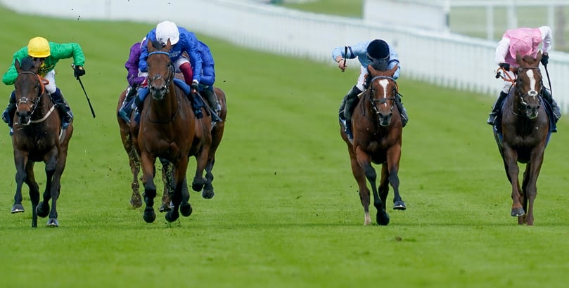 Goodwood Races Irish Derby 2022 runners, Irish Derby 2022 tips, horse racing