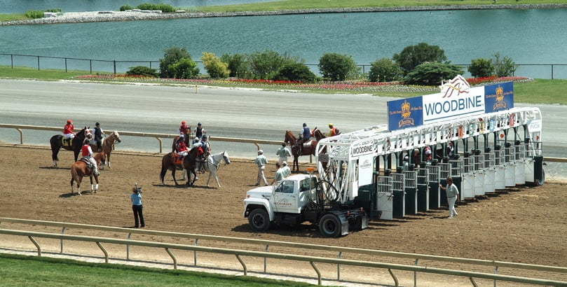 Horses getting ready to Race Woodbine Race Track, Toronto,Ontario Woodbine racing tips, Queen's Plate preview, horse racing