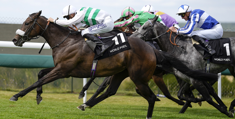 Goodwood Races York Races tips, York Ebor Festival, horse racing