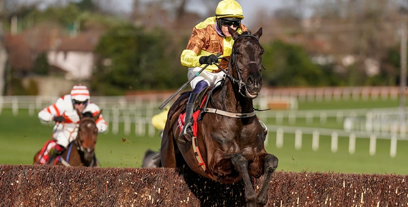 Leopardstown Races Punchestown Festival tips, horse racing, Galopin Des Champs