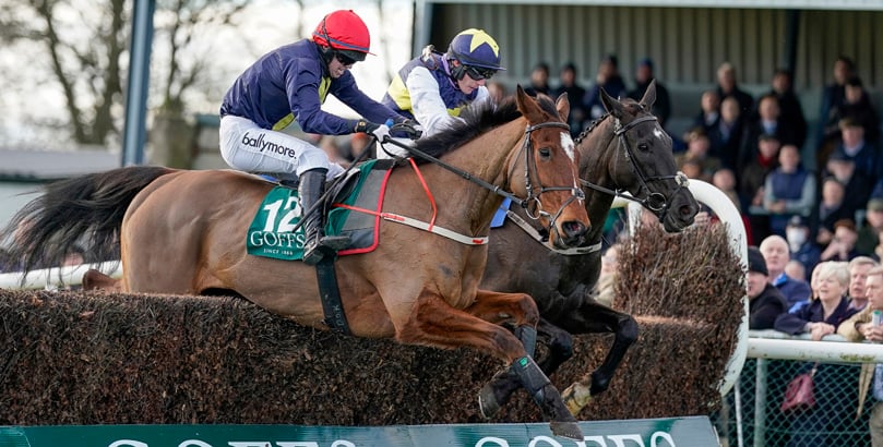 Gowran Park Races