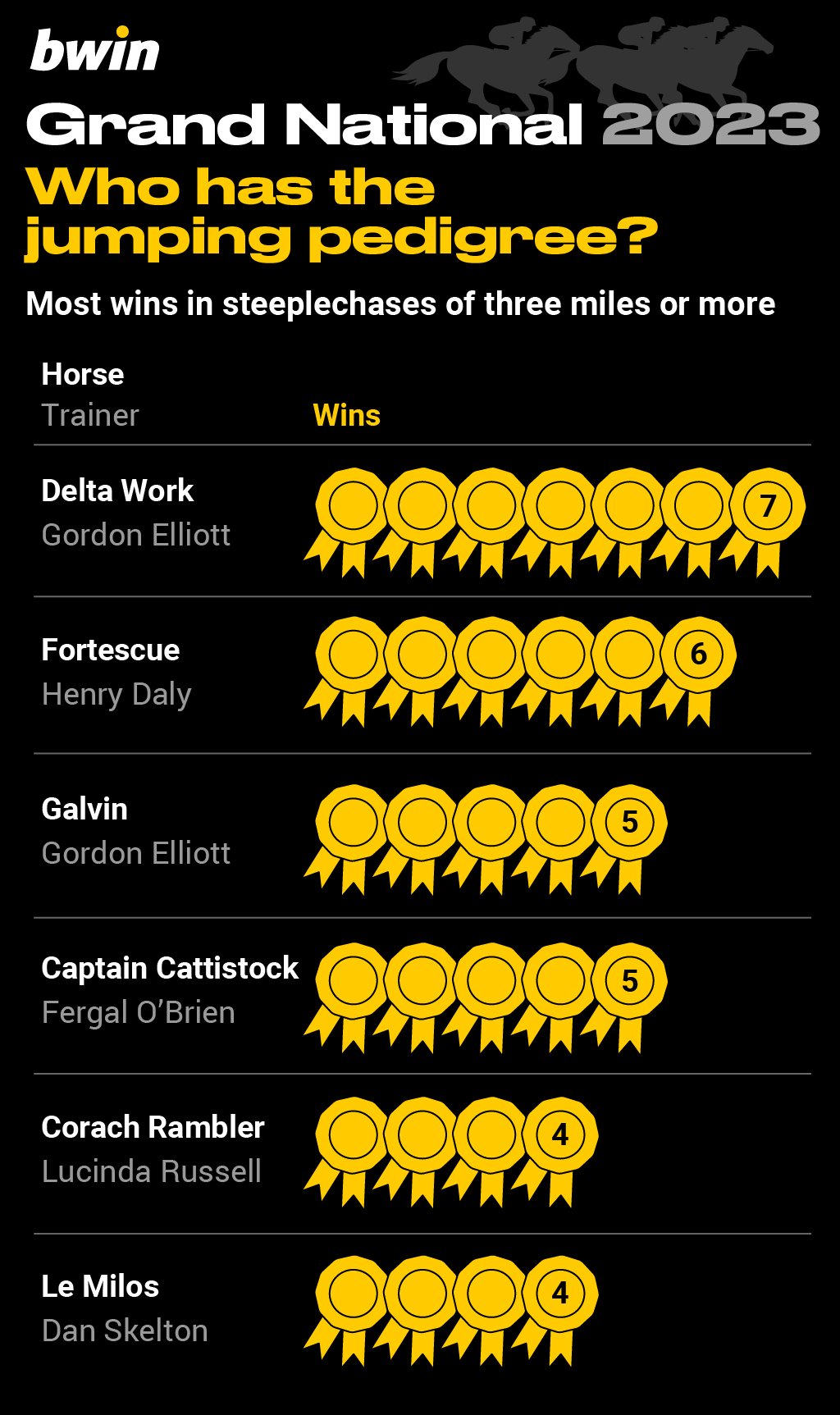 bwin-Grand National-5 Grand National trends, Aintree, horse racing
