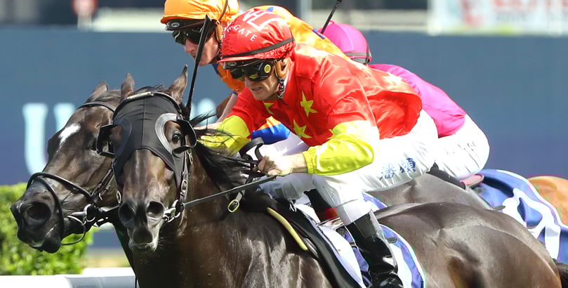 Sydney Racing